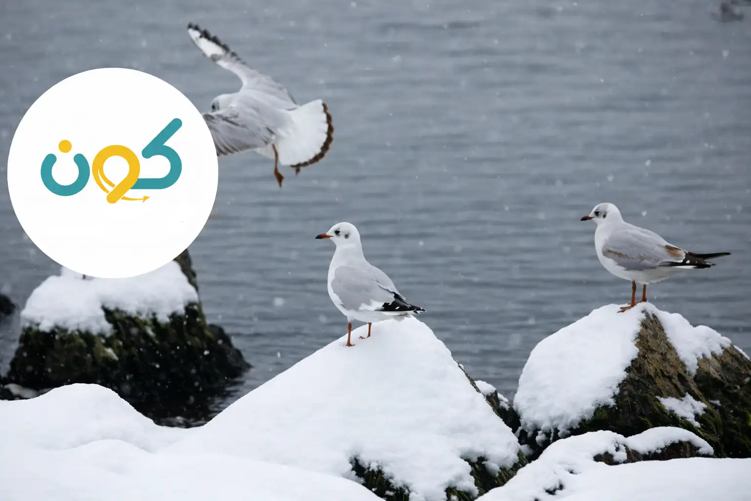 اذربيجان في الشتاء، السياحة في اذربيجان، قوبا اذربيجان في الشتاء، مناطق التزلج في أذربيجان