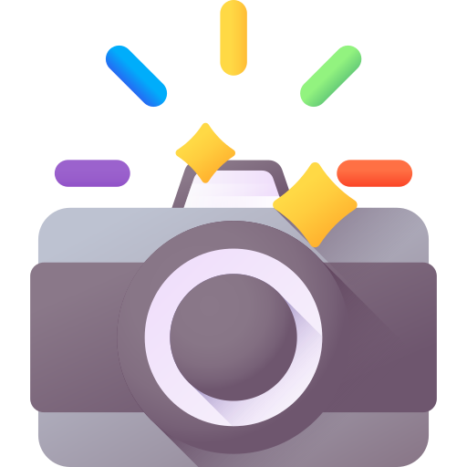 camera 1