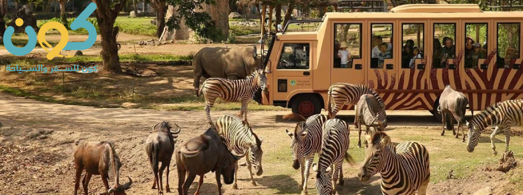 أفضل فنادق بونشاك للعوائل
