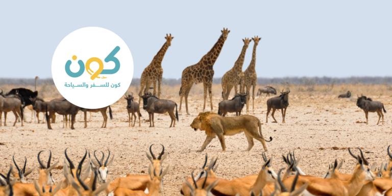 افضل دولة سياحية في افريقيا