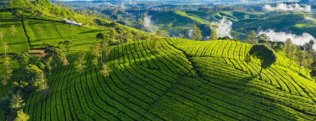 افضل شركة سياحة وسفر في السعودية تكلفة السفر إلى إندونيسيا